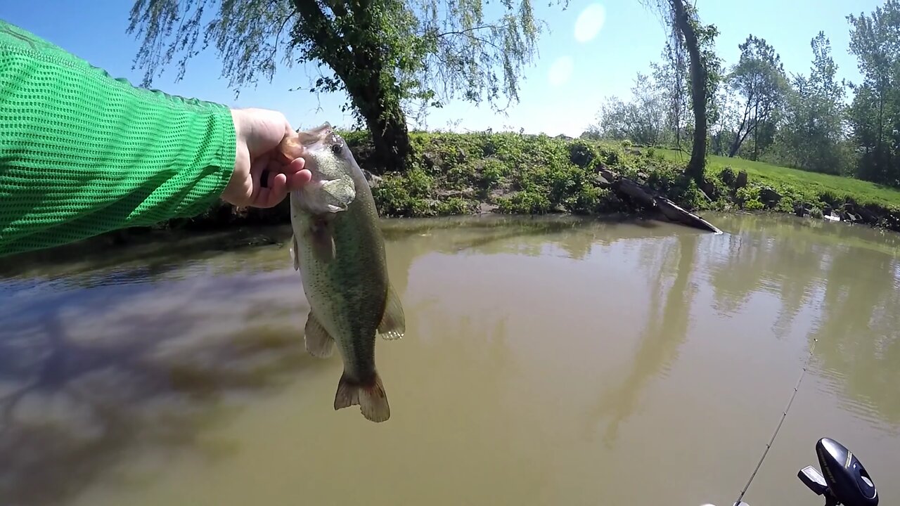 Exciting Marina Fishing - Exquisite Bass - Part 1