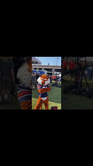 Good Luck to Aubie at UCA Nationals! | #auburn #aubie #wareagle