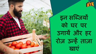 टॉप 4 सब्जिया जिन्हे आप घर पर उगा सकते है *