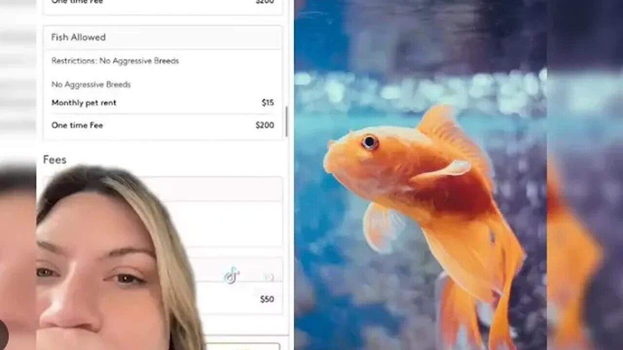 Woman Is Outraged After Landlord Charged Her $200 Pet Fee For Her Fish