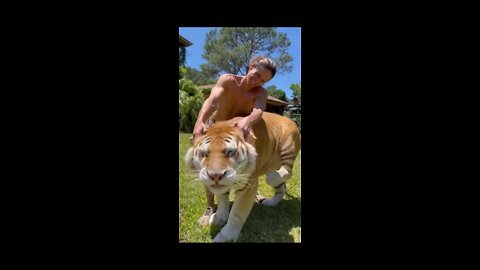 Best funny Animal Videos of the year (2021)🤣😂