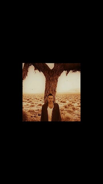 #u2 #shine like stars #with or without you #live #usa #1987 #joshua tree tour #shorts