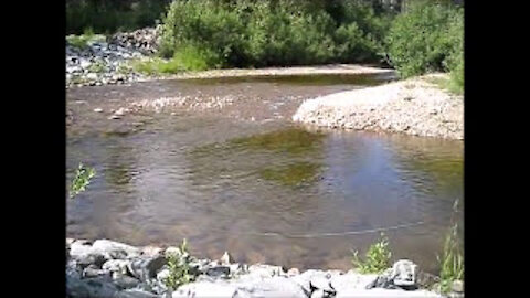 Chuchinka Creek - July 1, 2016