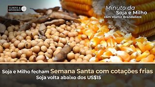 Soja e Milho fecham Semana Santa com cotações frias. Soja volta abaixo dos US$15