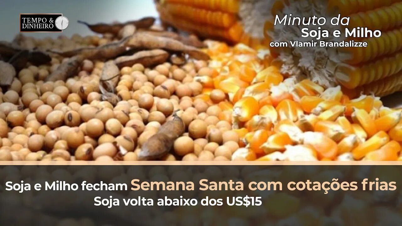 Soja e Milho fecham Semana Santa com cotações frias. Soja volta abaixo dos US$15