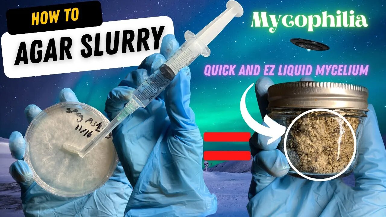 🍄 WTF is Agar Slurry?: Easiest and Quickest Method to Go from Agar to Syringe (Liquid Mycelium) 🧫💉👽