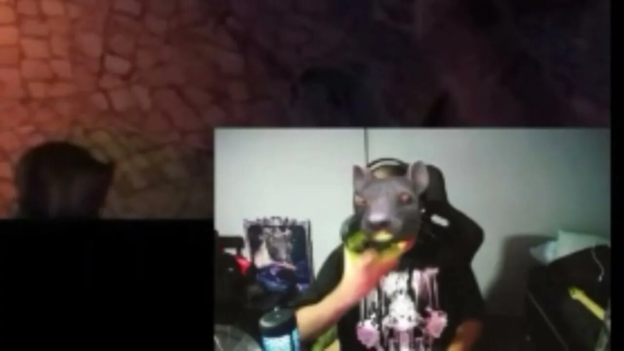 Mo violaozada na cara