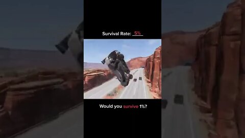 BeamNG DRIVE / survival rate