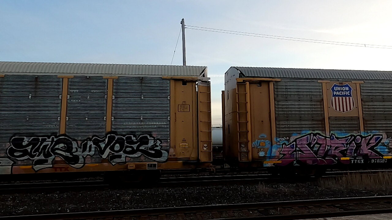 CN 3105 & CN 2302 Engines Manifest Train Eastbound In Ontario