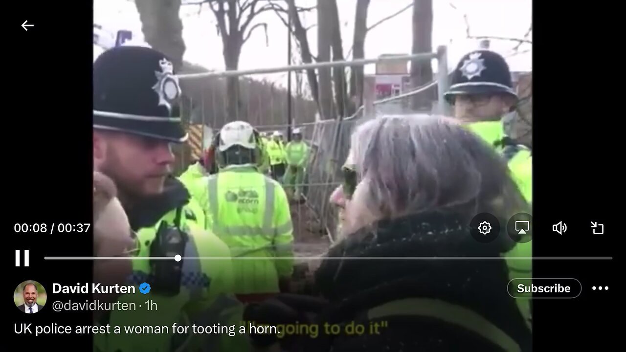 Woman arrested for blowing a horn