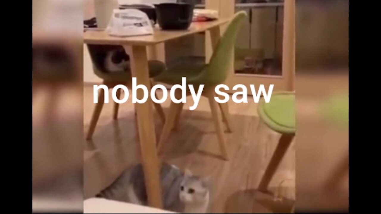 let me see what to eat