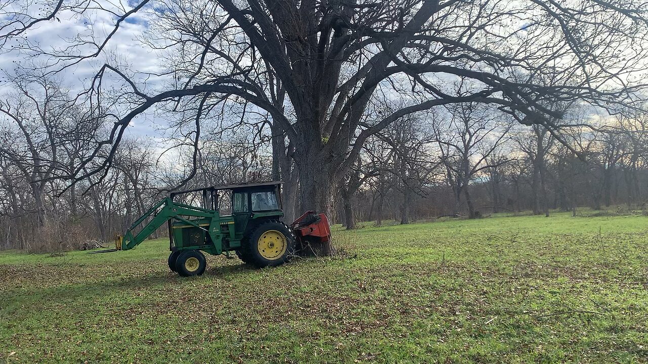 Pecan Harvest Milam County Texad