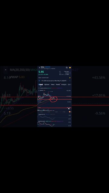 $XELA COMMENTS AND FEEDS #xela #xelastock