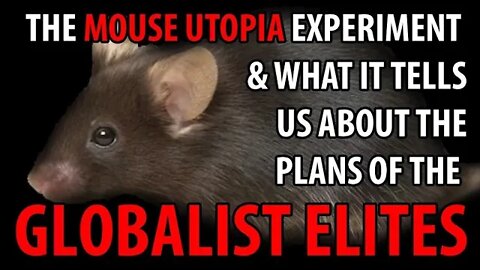 The Mouse Utopia Experiment and the Globalist Elite