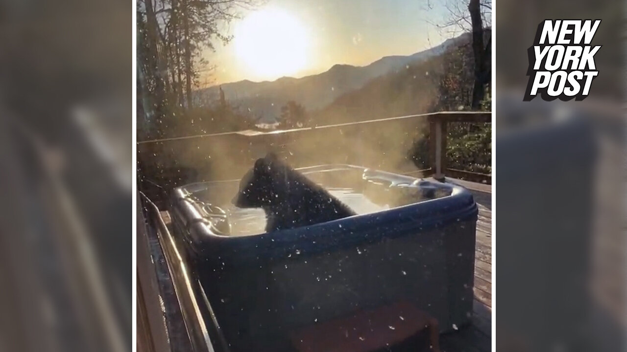 Bear in hot tub is 'having a blast' in Gatlinburg