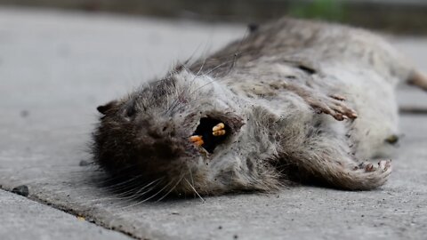 Suggest A Title For This Video In The Comments - From This Landscape DSC 1348