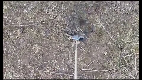 Drone Rescue!