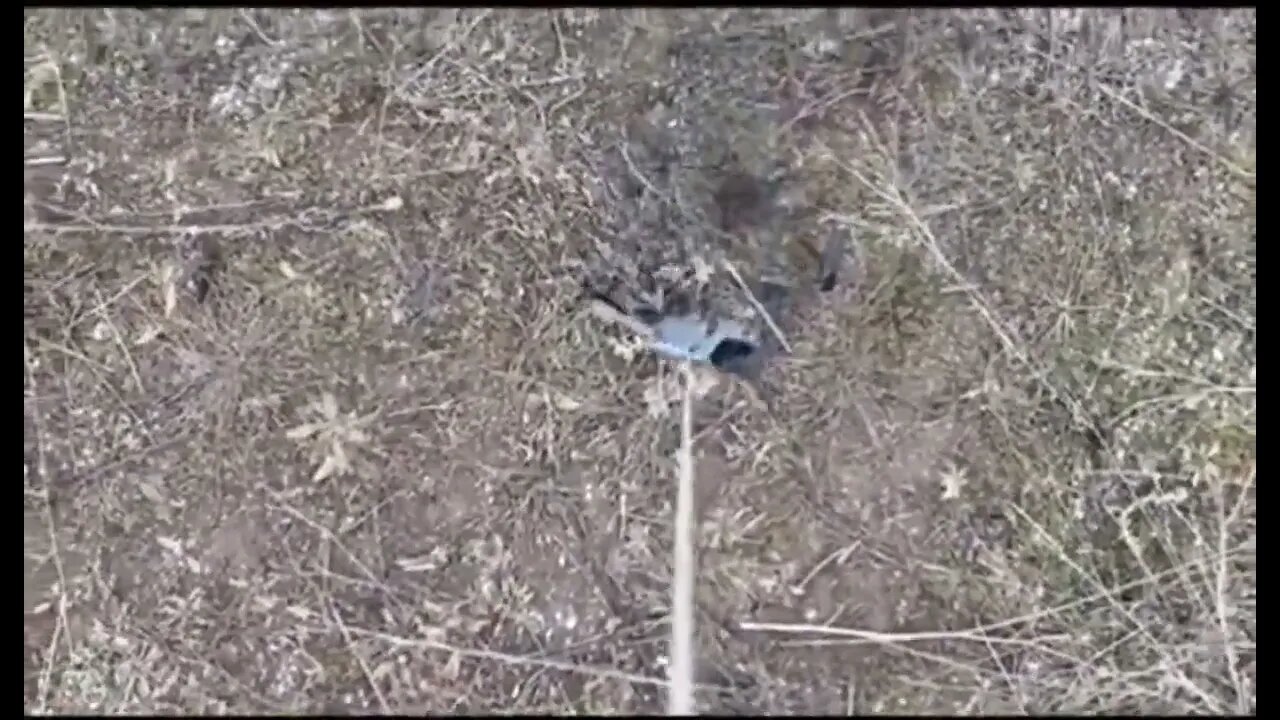 Drone Rescue!
