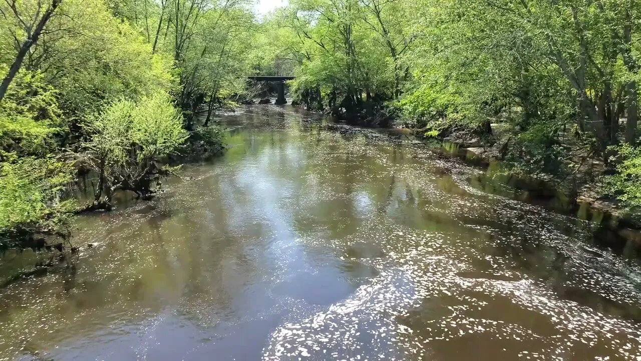 Little River at Reed Bingham State Park with sound