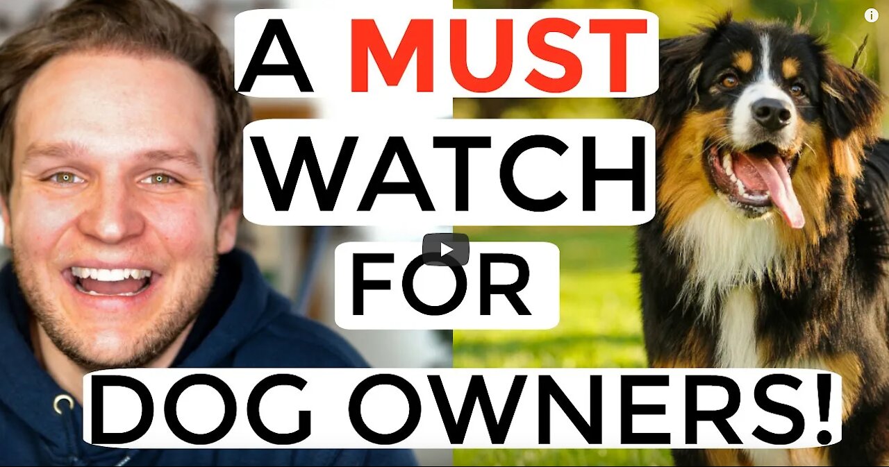 Dog training videos for beginner owners + Where to start new dog training!