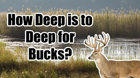 How deep of water will deer bed against?