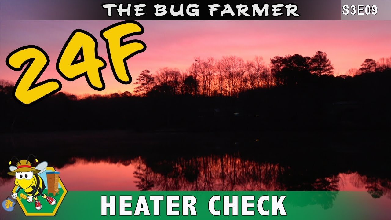 Beautiful Sunrise Beehive Heater Check