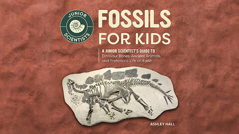 Fossils for Kids