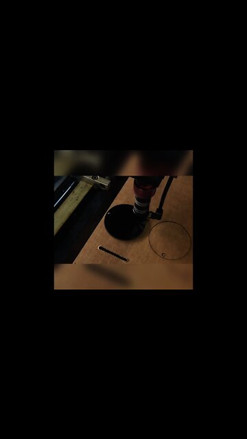 Bear Independent/Just do the things - Ornament