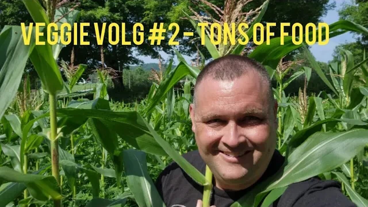 Veggie garden tour - Vlog July 4th