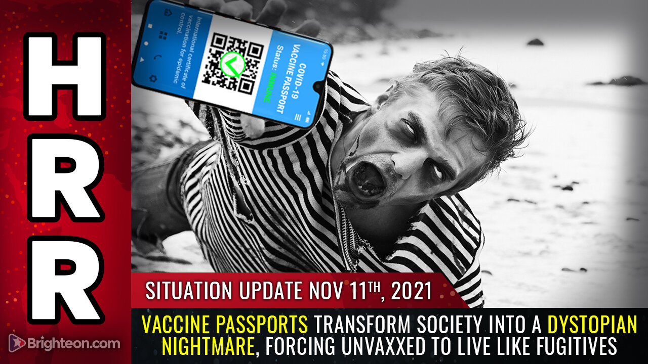 Situation Update, 11/11/21 - Vaccine passports transform society into a dystopian NIGHTMARE...