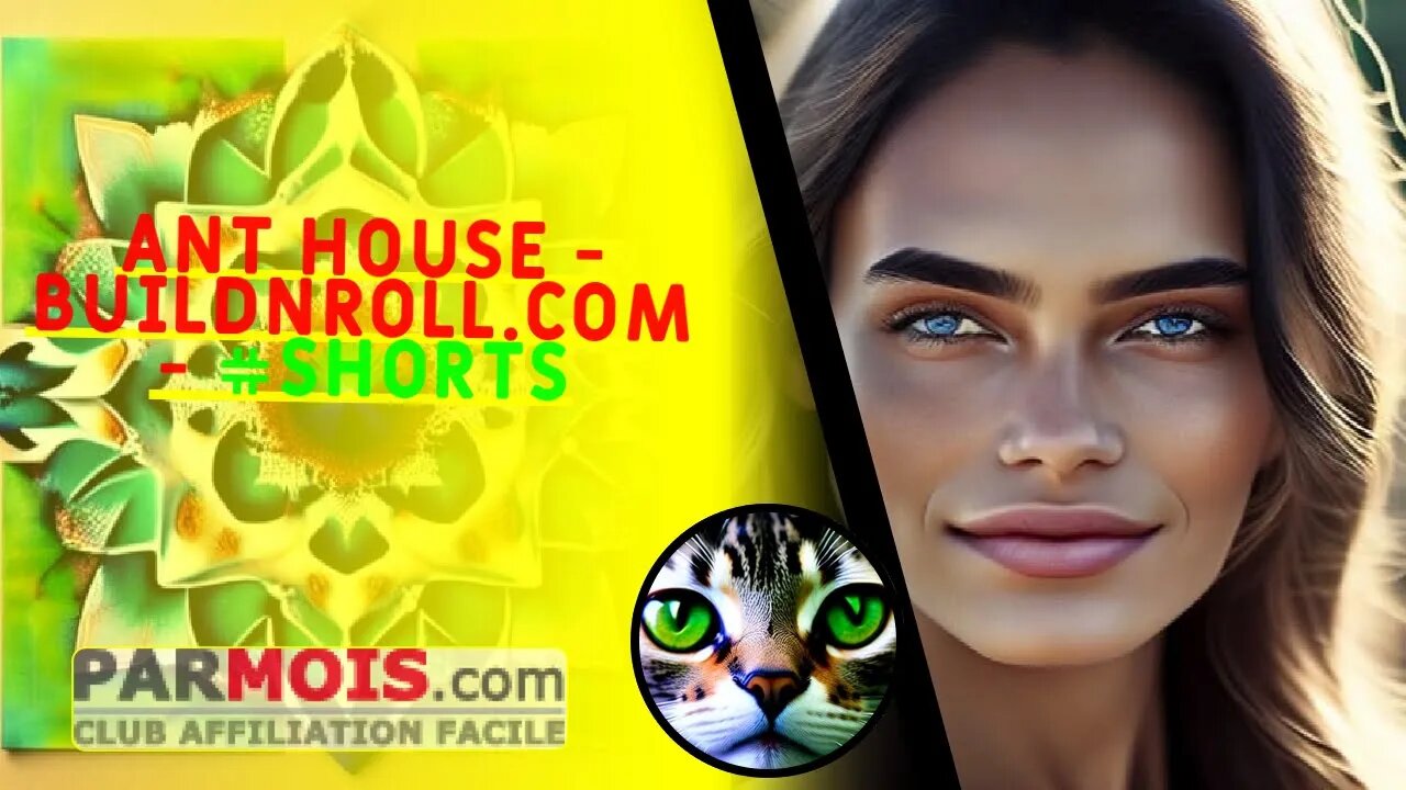 Ant house - BuildNRoll.com - #shorts