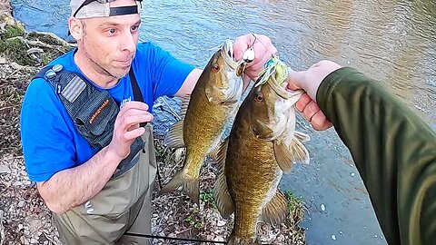 Smallmouth on Spinners