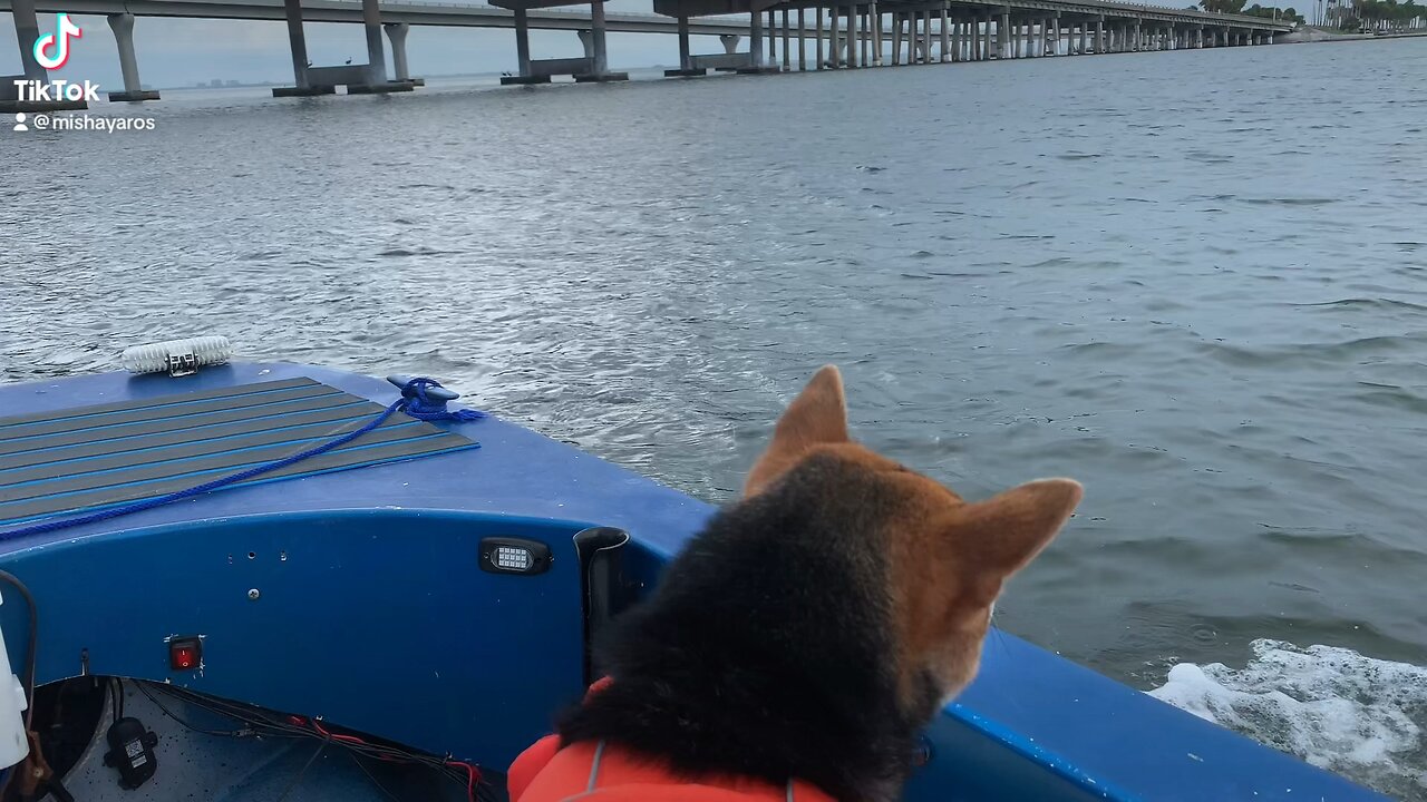 Lil time out at Sea