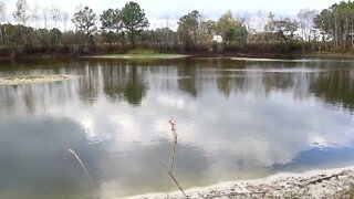 fishing 11/12/2022 p3