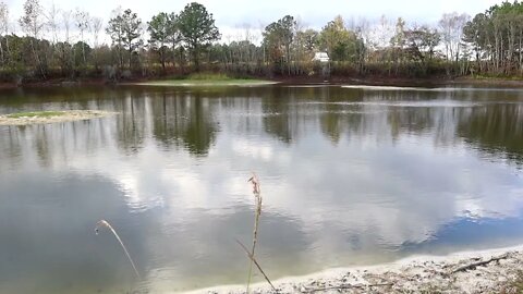 fishing 11/12/2022 p3