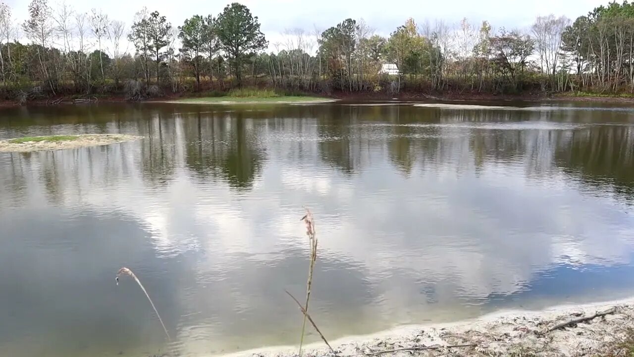 fishing 11/12/2022 p3