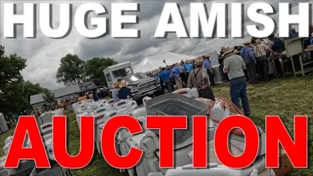 BIGGEST Auction I have ever been to. The Amish have it going on.