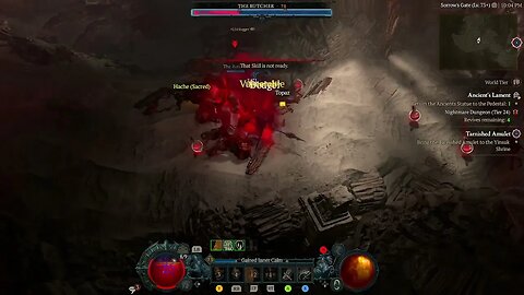 Diablo 4 T4 Nightmare 32 Level 72 Thorns/Bleed Barb vs Butcher