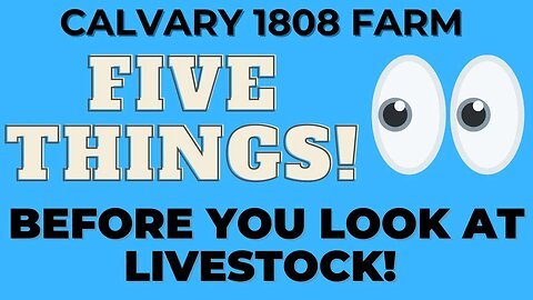 5 Things to consider BEFORE you look at livestock!