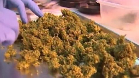 Marijuana classes popping up around Las Vegas