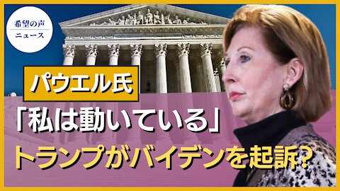 パウエル弁護士：私の沈黙を怠慢と勘違いしないように【希望の声ニュース/hope news】