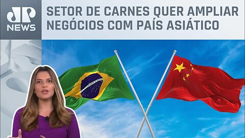 Kellen Severo: Saldo inicial da missão Brasil-China é positivo para o agro