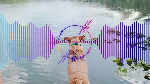 Camp Quotes I don’t believe in happy endings, but I do believe in happy travels, because ultimately