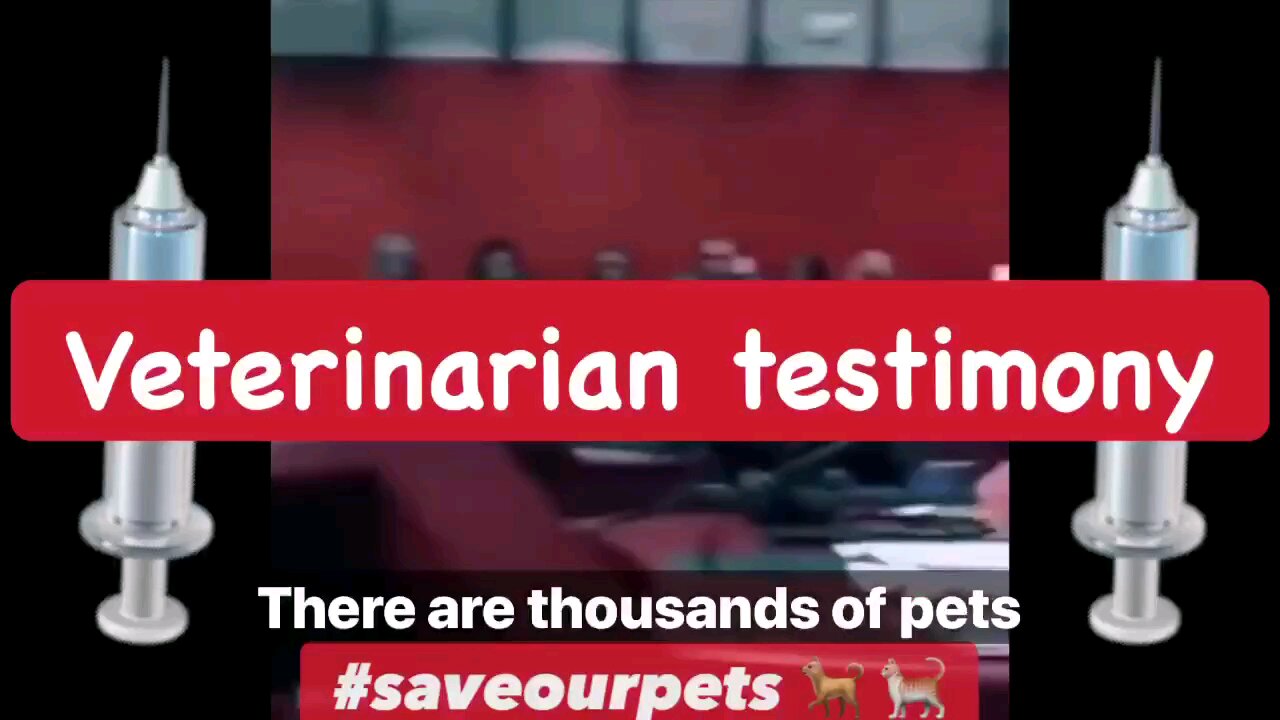 VETERINARIAN TESTIMONY..... YOUR PETS ARE DYING FROM VACCINES