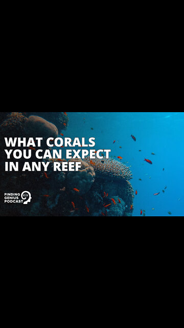 What Corals You Can Expect in Any Reef #shorts