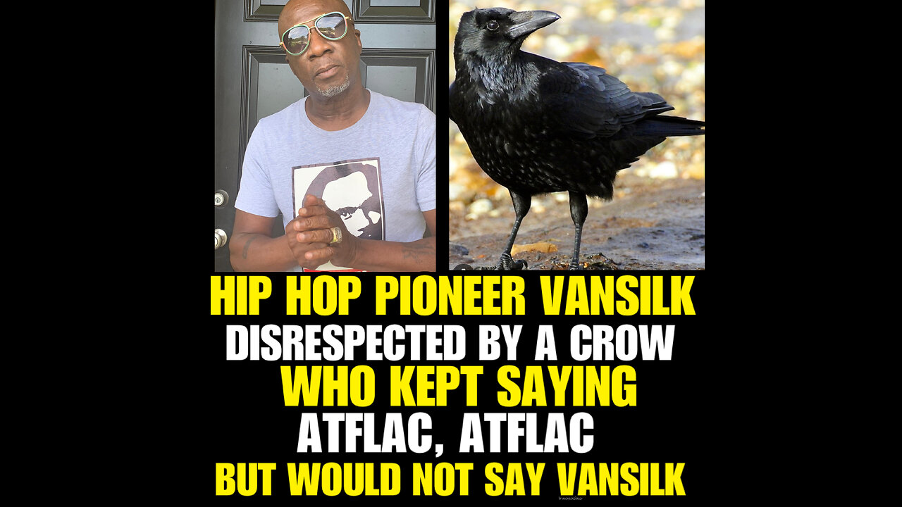 NIMH Ep #774 VANSILK disrespected by a Crow who kept saying AFLAC and not his name!😳