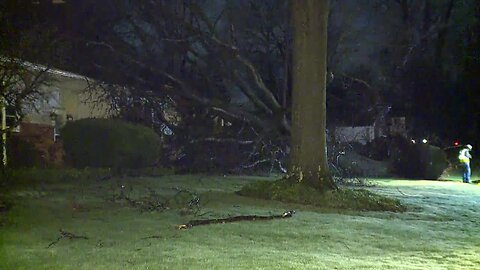 House on Barberton Tree