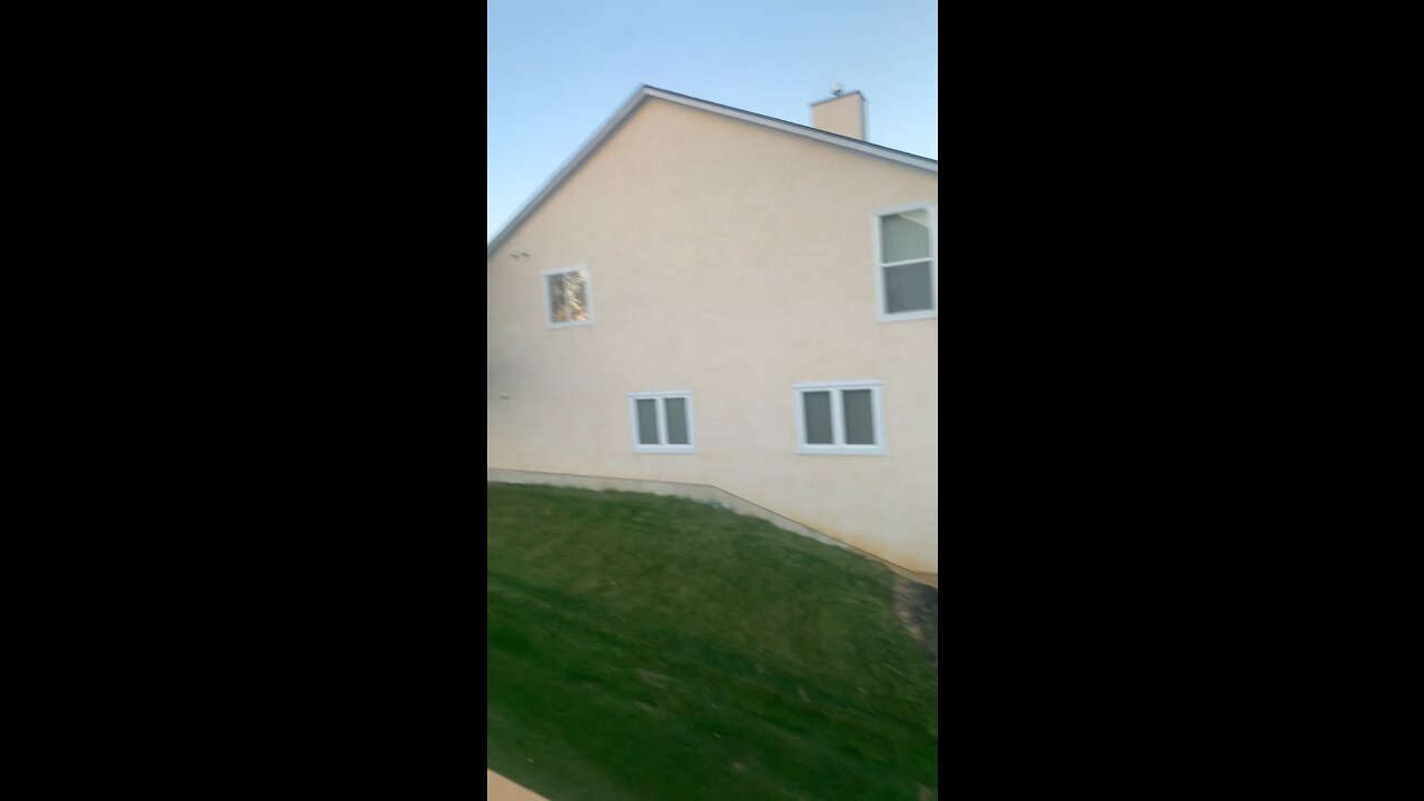Our backyard