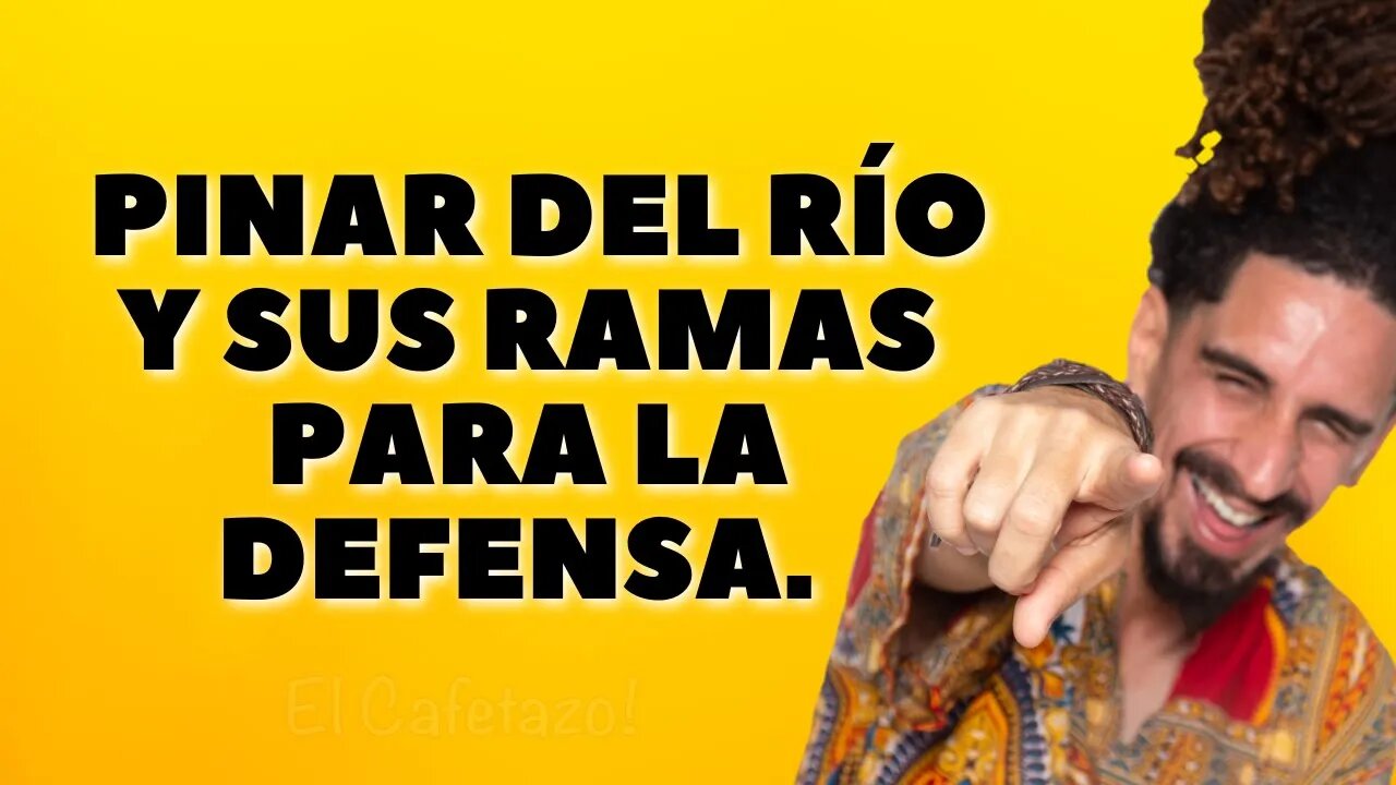 Pinar del Río y sus ramas para la defensa.