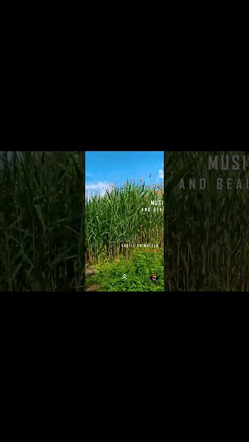 VACARESTI DELTA - Urban Jungle BIKE RIDE, Bucharest | #shorts | HIP HOP mix | 🇷🇴